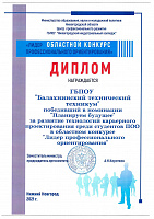 Профессиональная карьера